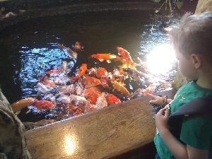 IMG_20220526_104529954