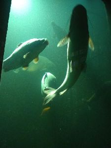 IMG_20220526_104010483