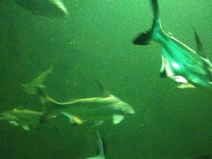 IMG_20220526_105331208