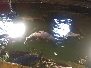 IMG_20220526_104523072