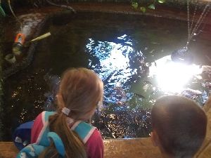 IMG_20220526_104510324
