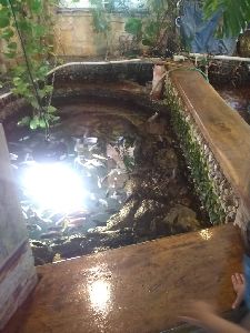 IMG_20220526_104411515