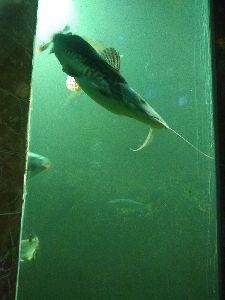 IMG_20220526_104023052