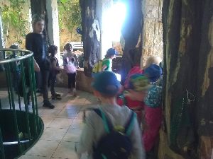 IMG_20220526_104427985