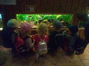 IMG_20220526_103246460