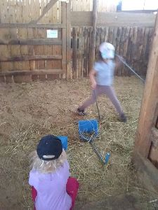 IMG_20220512_121244825