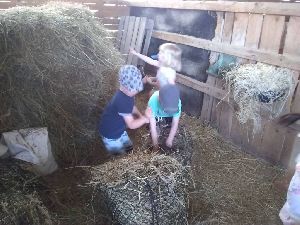 IMG_20220512_121230305