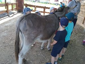 IMG_20220512_121532428