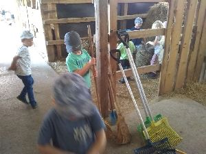 IMG_20220512_121317051