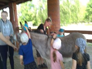 IMG_20220512_121524567