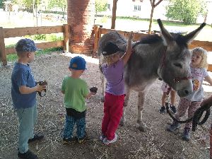 IMG_20220512_120829084