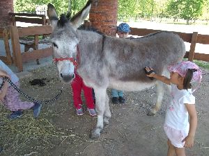 IMG_20220512_120743803