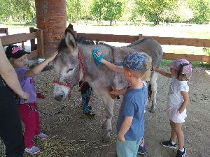 IMG_20220512_120852964