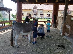 IMG_20220512_121753593_HDR