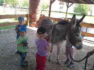 IMG_20220512_120752978