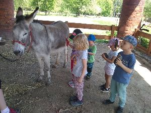 IMG_20220512_121055626
