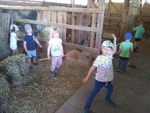 IMG_20220512_121453824