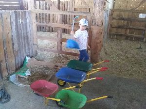 IMG_20220512_121130707