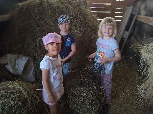IMG_20220512_121340864