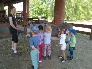 IMG_20220512_120941031