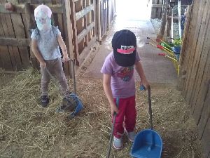 IMG_20220512_121256930