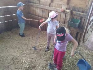 IMG_20220512_121415484