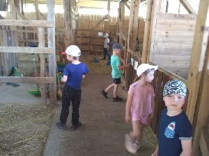IMG_20220512_121116705