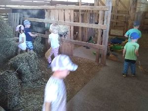 IMG_20220512_121450904