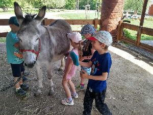 IMG_20220512_121616101_HDR
