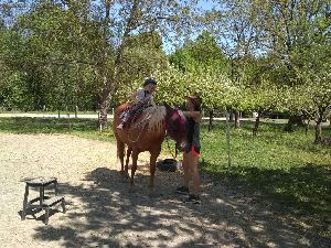 IMG_20220512_131916325