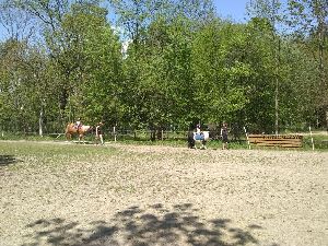 IMG_20220512_131849509