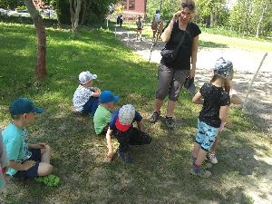 IMG_20220512_131806065