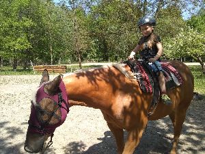 IMG_20220512_132017955