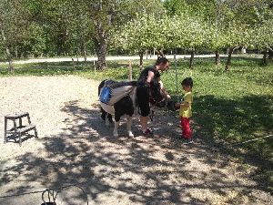 IMG_20220512_132511446