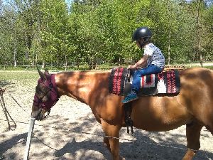 IMG_20220512_132444920