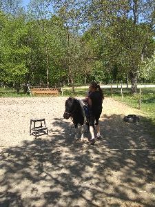IMG_20220512_132138309
