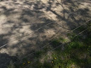 IMG_20220512_132235928