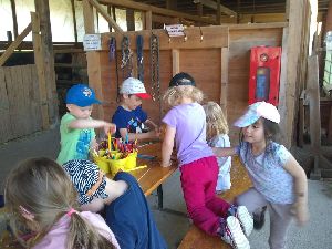IMG_20220512_133326739