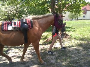 IMG_20220512_132732497