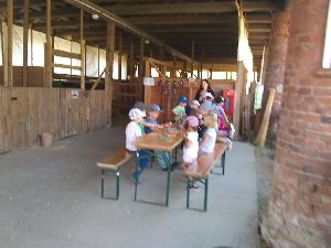 IMG_20220512_133205791