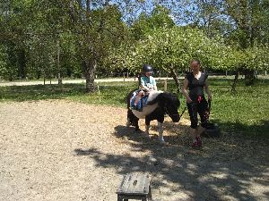 IMG_20220512_133053212