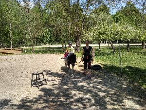 IMG_20220512_132804164_HDR