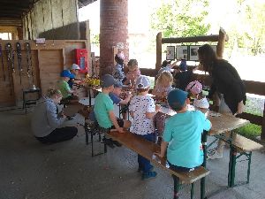 IMG_20220512_133229745