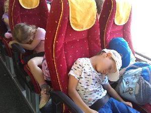 IMG_20220512_141622353