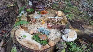 IMG_20221013_162655312