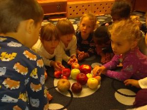 IMG_20221004_091745372