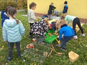 IMG_20221004_132454168