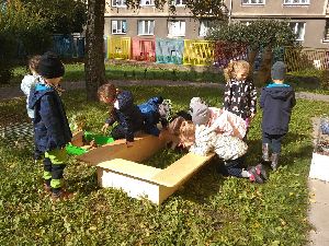 IMG_20221004_131008154