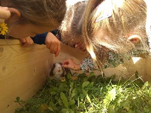 IMG_20221004_131019877