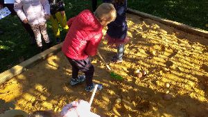 IMG-20221012-WA0011